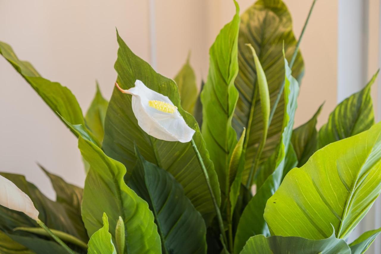 Snowflake Suites VI Rovaniemi Bagian luar foto